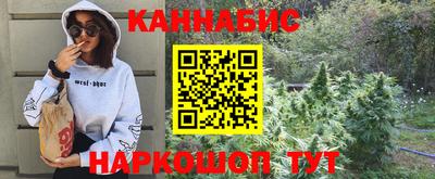 индика Комсомольск-на-Амуре